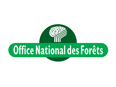Création de motion desiign pédagogique pour l'office national des forêt en France par New Tells Studio