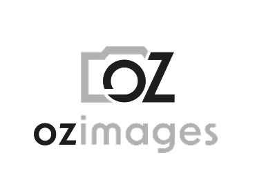 Création logo animé pour ozImages par New Tells Studio