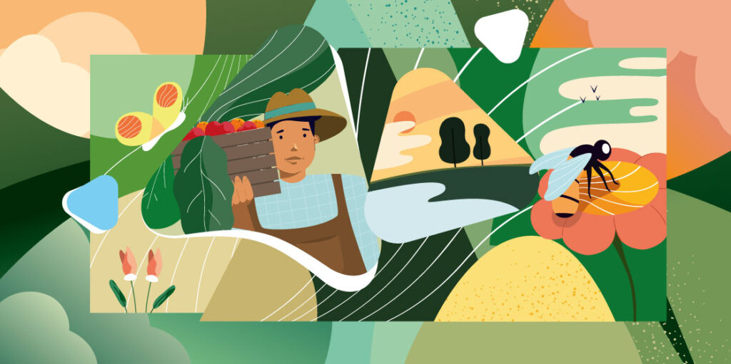 Illustration acoudesign pour l'agricole par New tells Studio