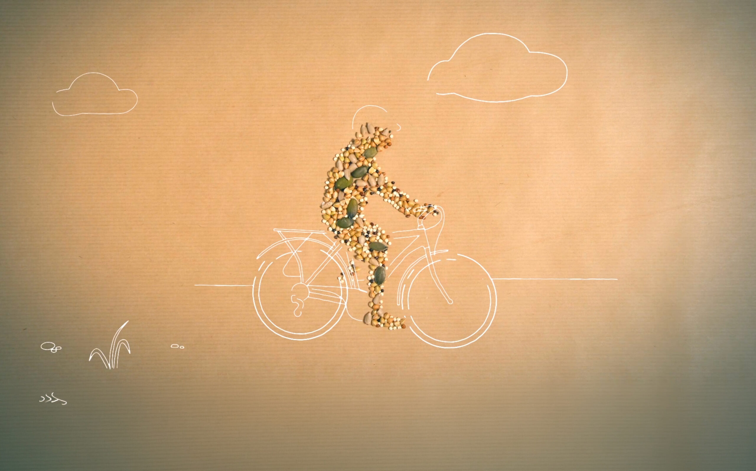 stc-nutrion-stop-motion par New Tells Studio